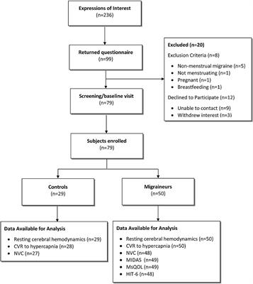 Cerebrovascular Function in Hormonal Migraine: An Exploratory Study